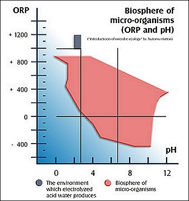pH- und Redoxwerte, Wirkungen auf Lebensraum pathog. Mikroben