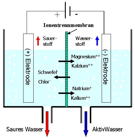 die beiden Ionisierungskammern sind durch eine Membrane, die zwar Ionen, aber kein Wasser durchlsst, getrennt